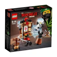 Lego training