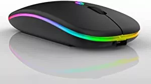 Mouse Sem Fio Recarregável Wireless Led Rgb Colorido Ergonômico Usb 2.4 Ghz TAMO (PRETO) | Amazon.com.br