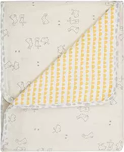 Manta Flanelada Papi Compose Dupla Face para Bebê 90cm X 80cm Contém 01 Un : Amazon.com.br