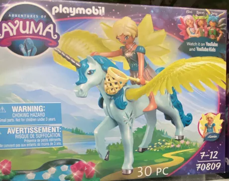 Playmobil Ayuma 70809