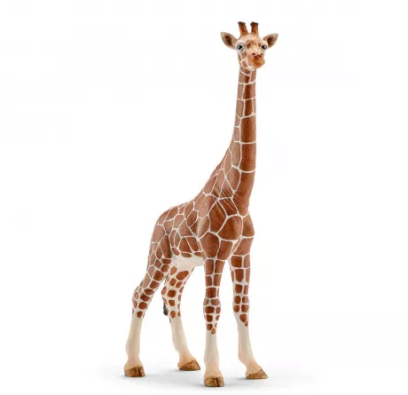 Schleich Giraffe und Schildkröte