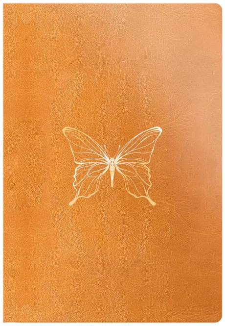 Bíblia Anote NVI editora Geográfica capa borboleta caramelo