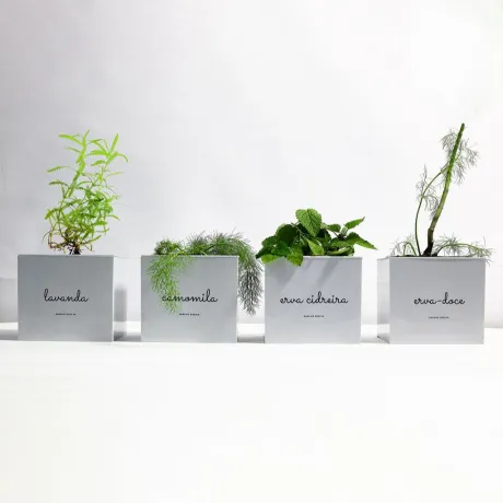 Kit Horta Chá Acalmar | Lavanda Melissa | Sanchz Design