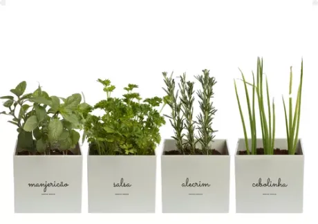 Kit Vasos Plantas Hortinha Em Casa Para Cultivo Organico | Frete grátis