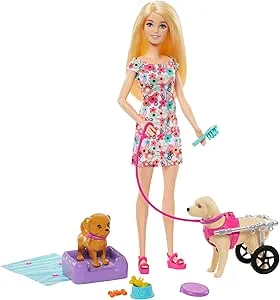 Barbie, Conjunto de Brinquedo, Passeio de Animais de Estimação com Cadeira de Rodas, 1 Boneca, 2 Cachorros e Acessórios : Amazon.com.br: Brinquedos e Jogos