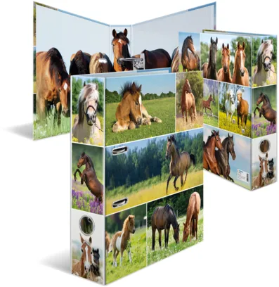 HERMA Motiv-Ordner A4 Animals Pferdewiese - 19251