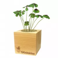 Feel Green Feel Green EcoCube ''