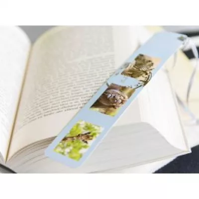 Lesezeichen basteln & selber machen mit eigenen Fotos | fotokasten