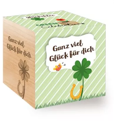 Feel Green ecocube Celebrations Pflanze im Holzwürfel